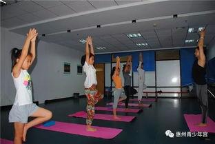 成人瑜伽上课视频教程,跟随视频教程轻松入门